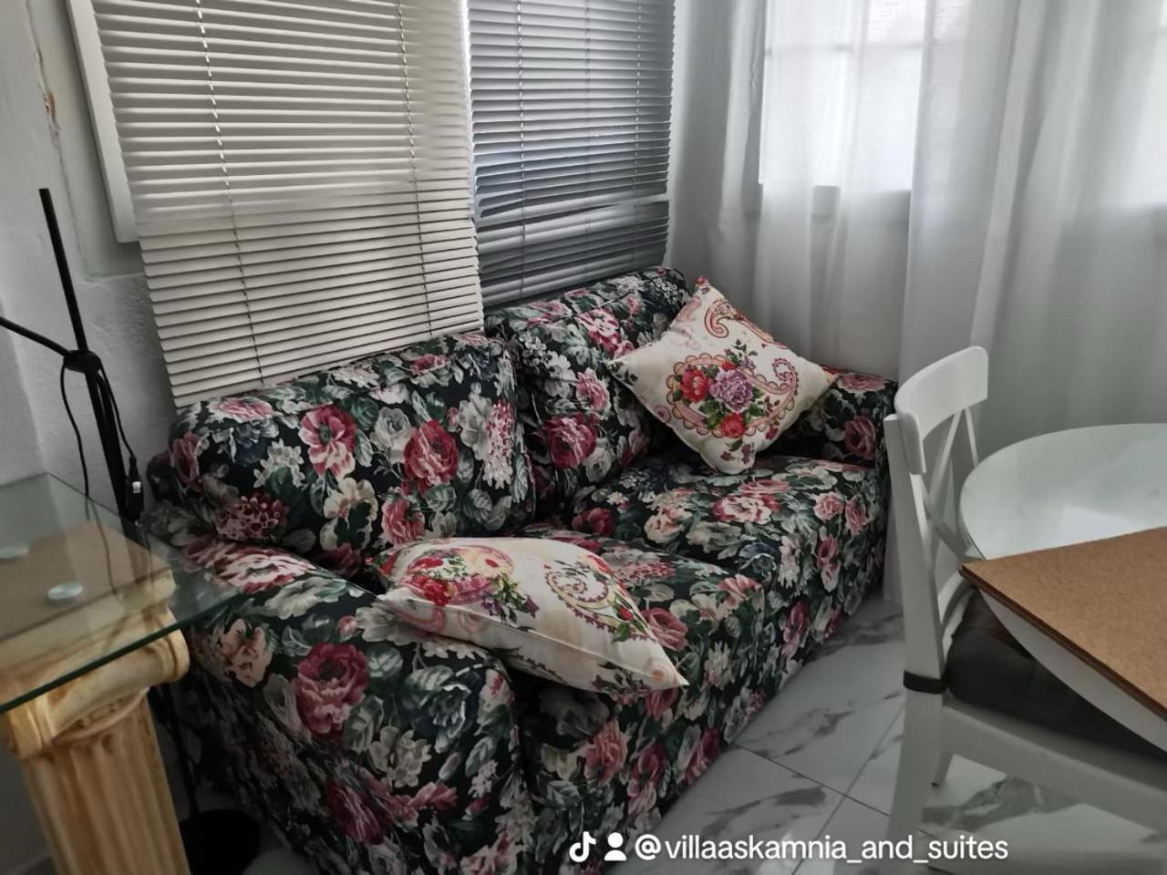 Villa Askamnia And Suites 尼基季 外观 照片